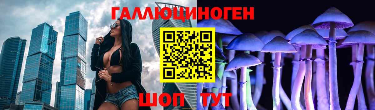 Псилоцибиновые грибы Psilocybe Нижневартовск