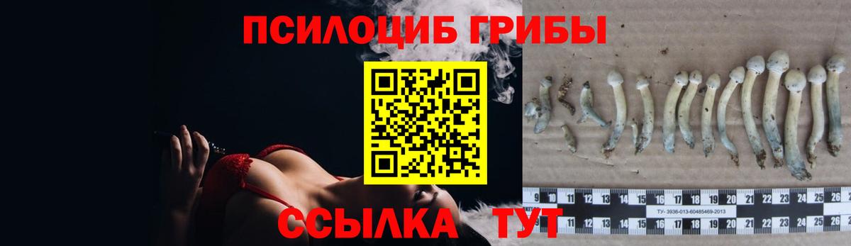 Нижневартовск  Галлюциногенные грибы мицелий  Вход с VPN 